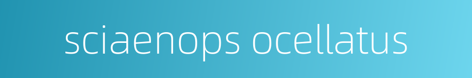 sciaenops ocellatus的同义词