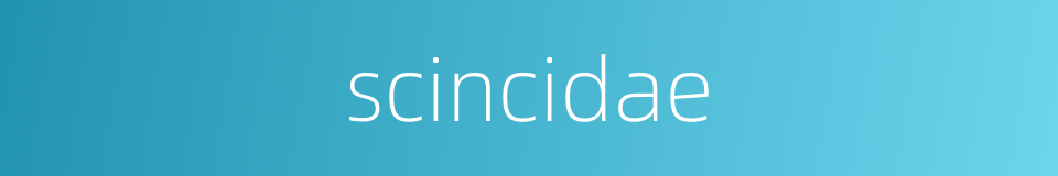 scincidae的同义词