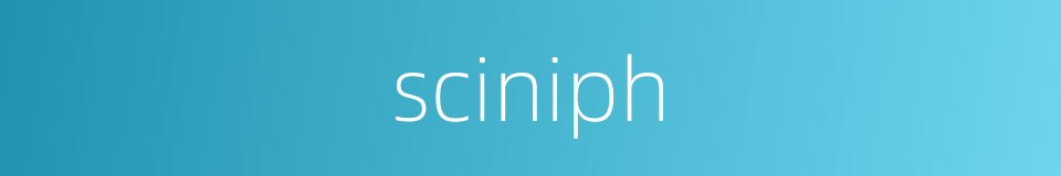 sciniph的同义词