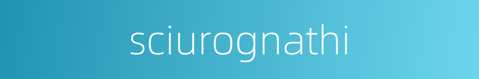 sciurognathi的同义词