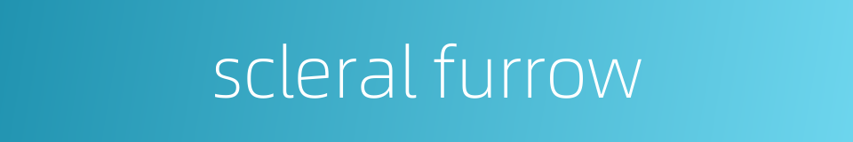 scleral furrow的同义词