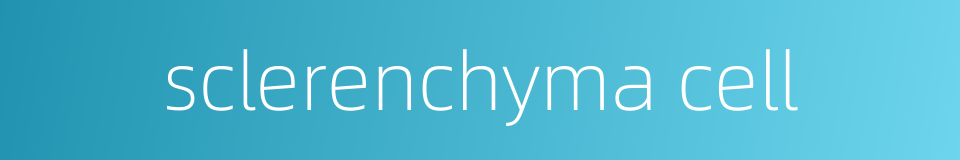 sclerenchyma cell的同义词
