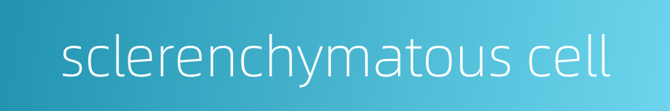 sclerenchymatous cell的同义词