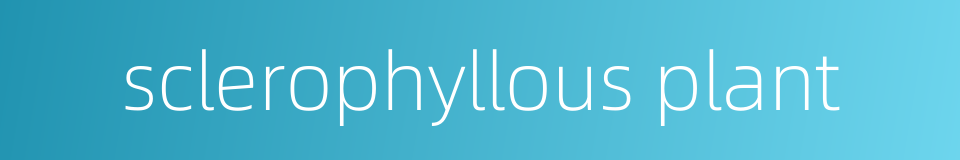 sclerophyllous plant的同义词