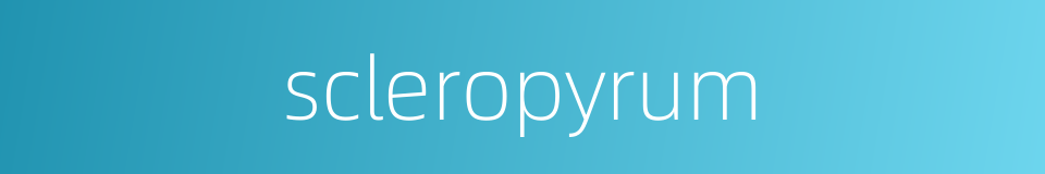 scleropyrum的同义词