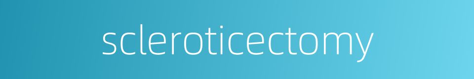 scleroticectomy的同义词