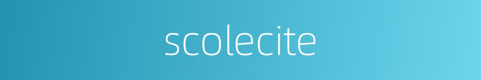 scolecite的同义词