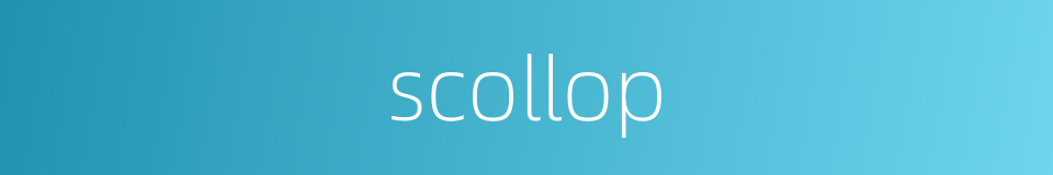 scollop的同义词