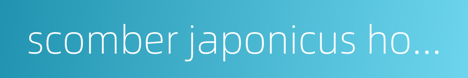 scomber japonicus houttuyn的同义词
