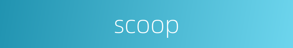 scoop的同义词