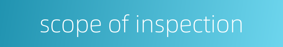 scope of inspection的同义词