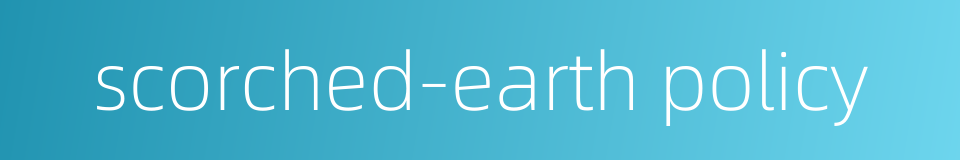 scorched-earth policy的同义词