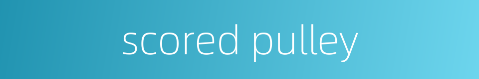scored pulley的同义词