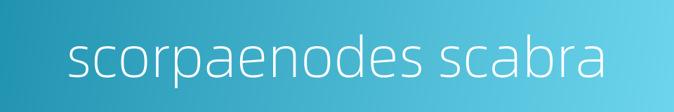 scorpaenodes scabra的同义词
