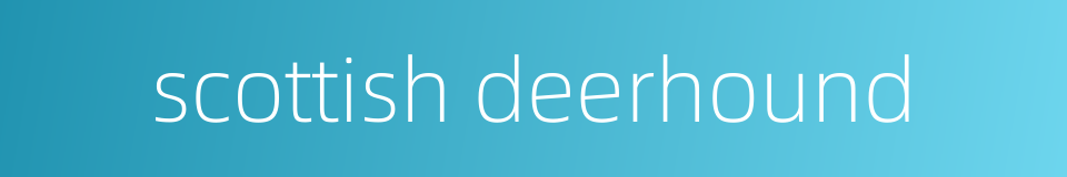 scottish deerhound的同义词