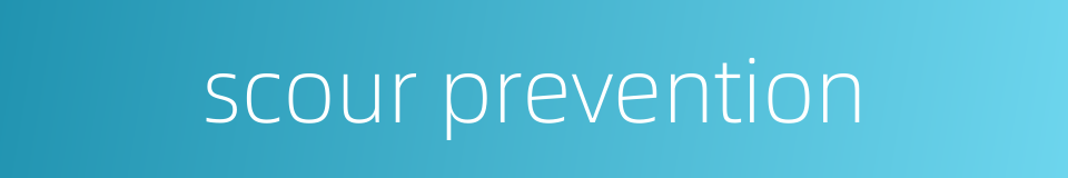 scour prevention的同义词