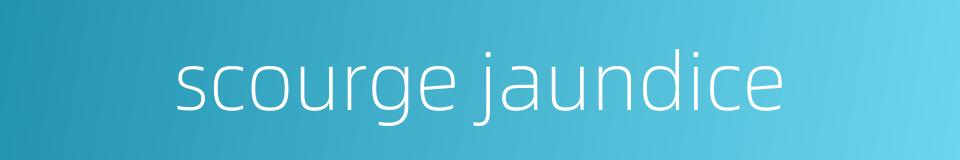 scourge jaundice的同义词