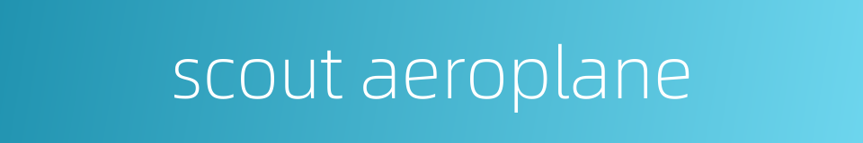 scout aeroplane的同义词