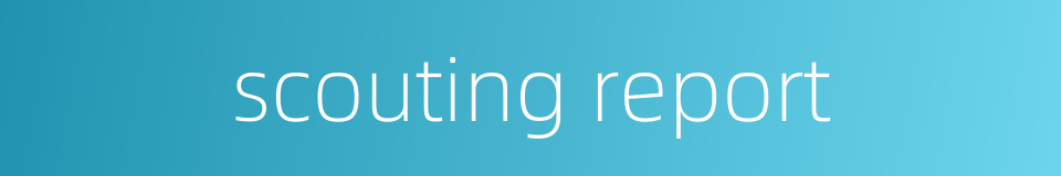 scouting report的同义词