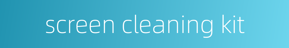 screen cleaning kit的同义词