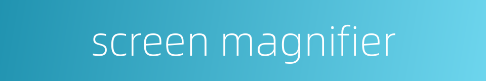screen magnifier的同义词