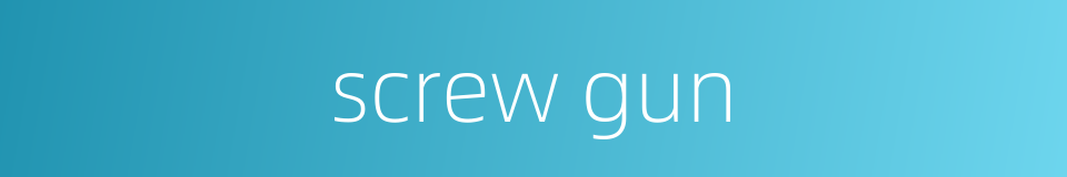 screw gun的同义词