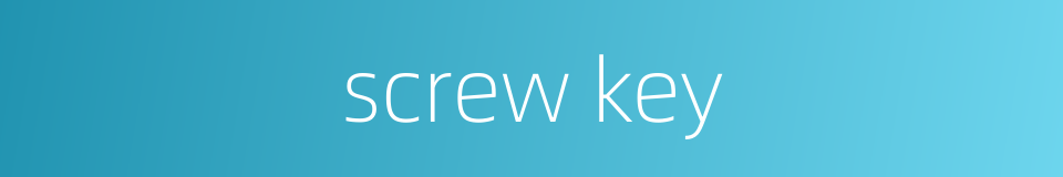 screw key的同义词