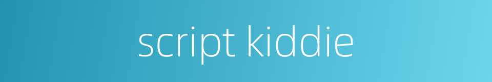 script kiddie的同义词