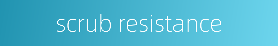 scrub resistance的同义词