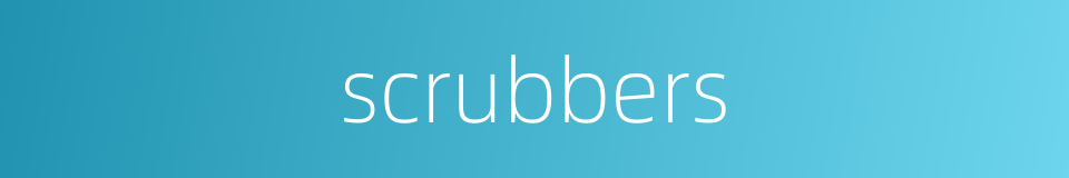 scrubbers的同义词