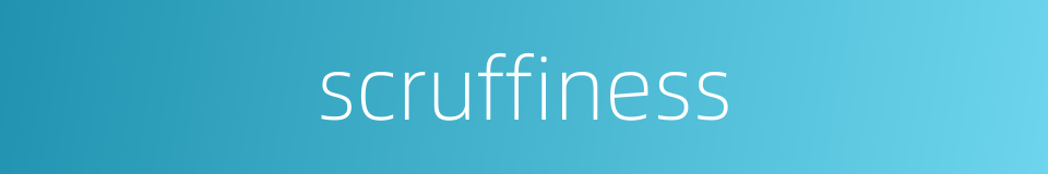 scruffiness的同义词