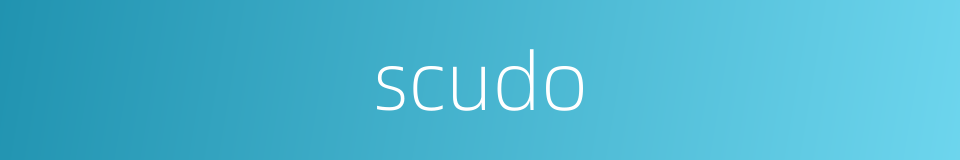 scudo的同义词