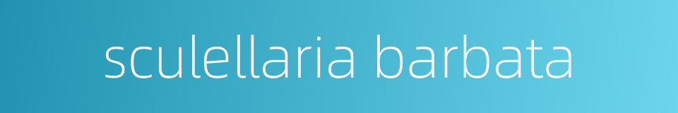 sculellaria barbata的同义词