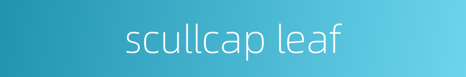 scullcap leaf的同义词