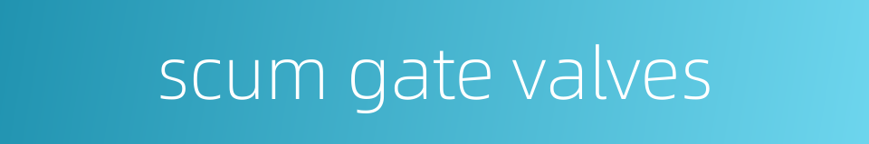 scum gate valves的同义词
