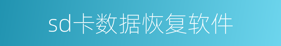 sd卡数据恢复软件的同义词