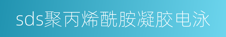 sds聚丙烯酰胺凝胶电泳的同义词