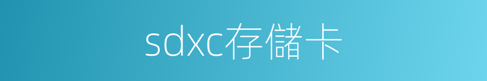 sdxc存儲卡的同義詞