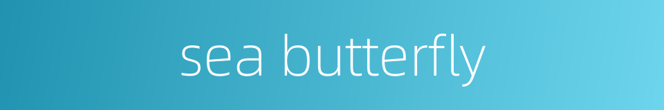 sea butterfly的同义词