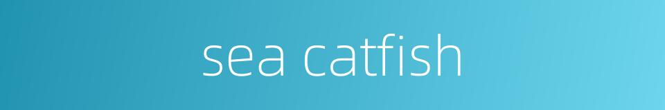 sea catfish的同义词