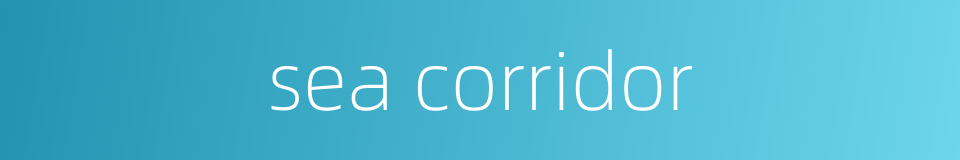 sea corridor的同义词