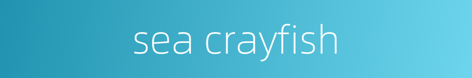 sea crayfish的同义词