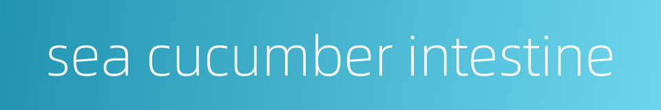 sea cucumber intestine的同义词