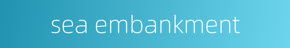 sea embankment的同义词