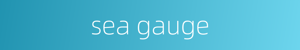 sea gauge的同义词