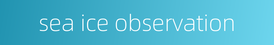 sea ice observation的同义词