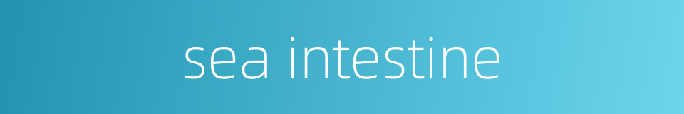 sea intestine的同义词