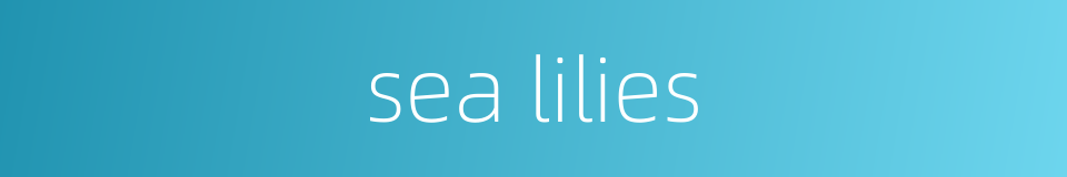 sea lilies的同义词