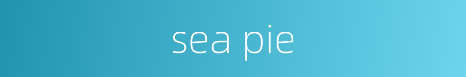 sea pie的同义词