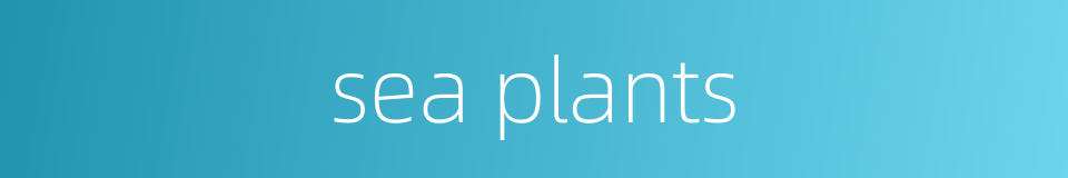 sea plants的同义词